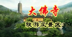 嫩逼流液视频中国浙江-新昌大佛寺旅游风景区